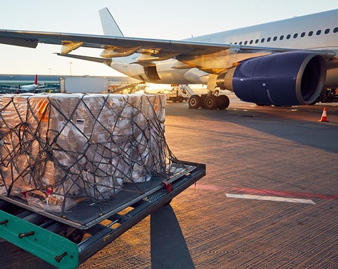 Warehouse — placeholder